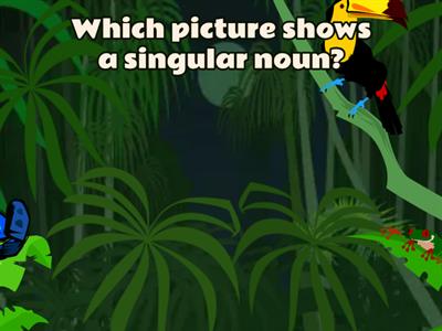 Singular Nouns Identification