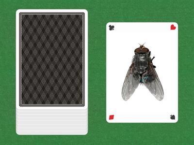 Секс өзбек Диана