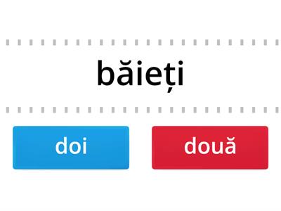 doi-două/21.ianuarie