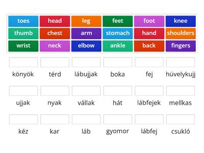 Project Explore 1 Unit 4D