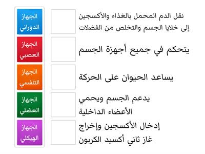 أجهزة أجسام الحيوانات