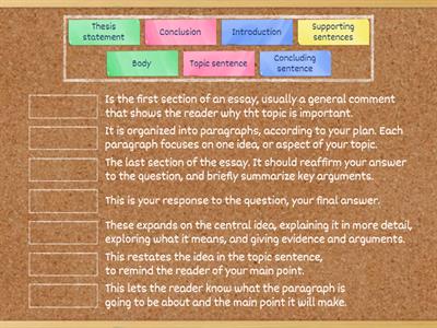 Structure of an Essay 