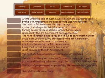 Constitutional Amendments Vocab