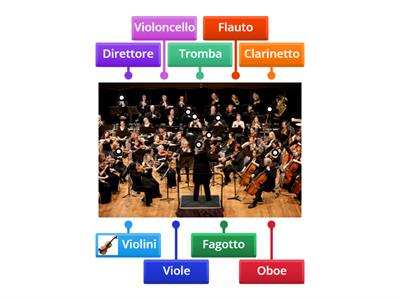 Orchestra