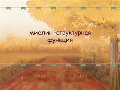 Функции БЖУ 