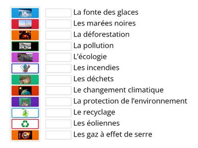 Vocabulaire de l'écologie