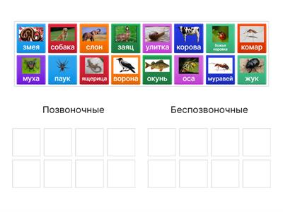 Позвоночные и беспозвоночные CLIL su-ve