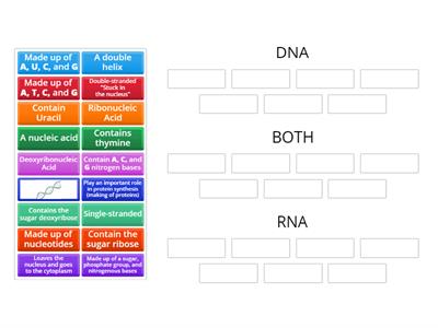 DNA vs RNA .
