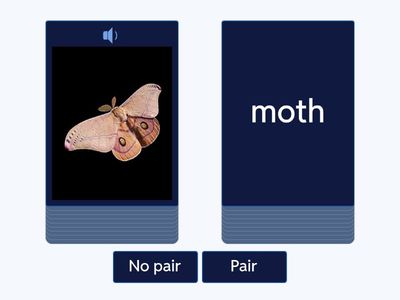 Digraphs Pair No Pair
