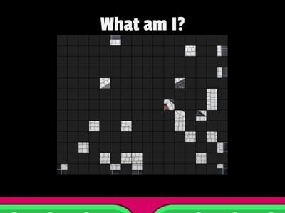 What am I? 