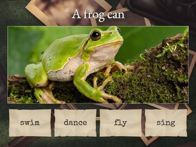  of spotlight 2. unit 8. can/cant 