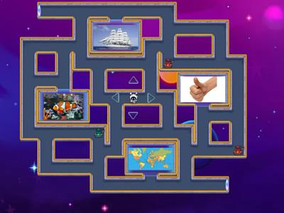 FIS 5 Maze Chase (different pairs - same first sound)