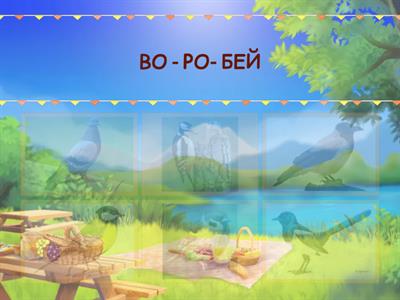 Где какая птица?