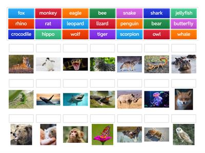 gatewayb1 wild animals