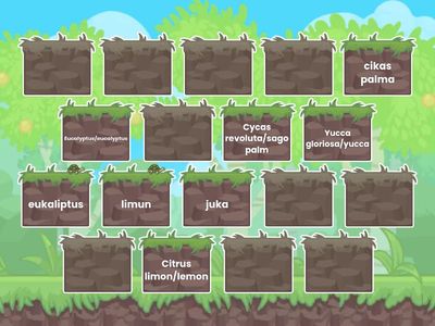 Biljke mix 2 hrvatski-latinski-engleski