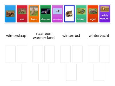 Dieren in de winter