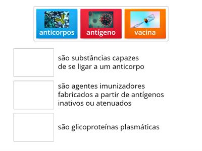 Antígeno, anticorpo e vacinação