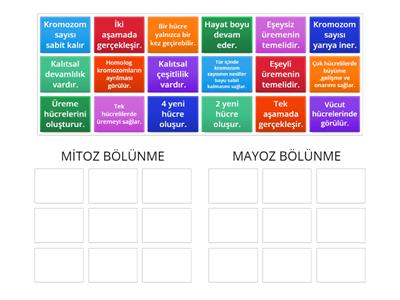 7. Sınıf mitoz ve mayoz bölünme (N.Ece ÇAKIR)