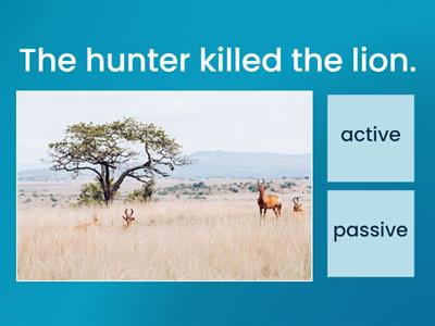 Active or Passive voice?