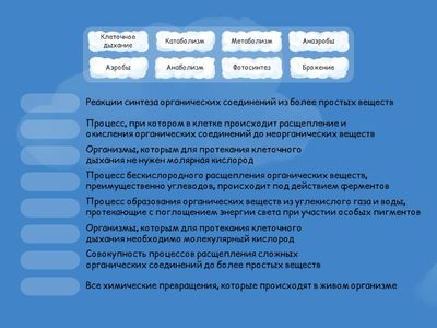 Определения 