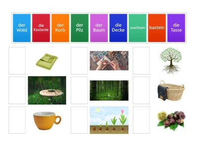 Herbst Vokabeln- 2. Klasse 