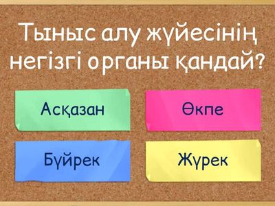 Тыныс алу жүйесі