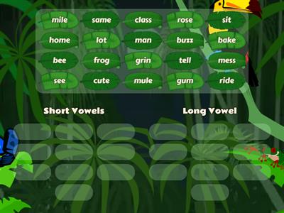 long vowel/short vowel