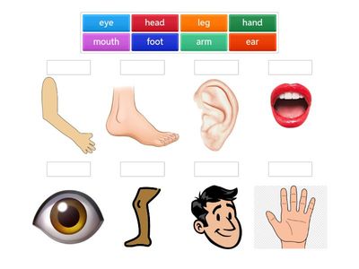  Look 1 Unit 5 - Vocabulary