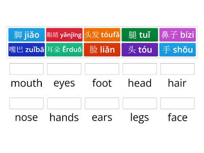 （PY）Unit 4 Guess Who (body parts)