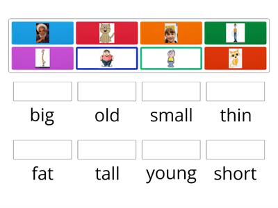 adjectives (tall, short, fat, thin)