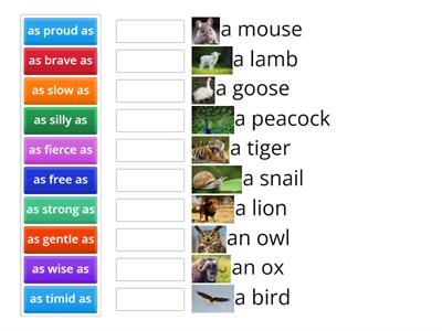  P.6 Similie as ... as