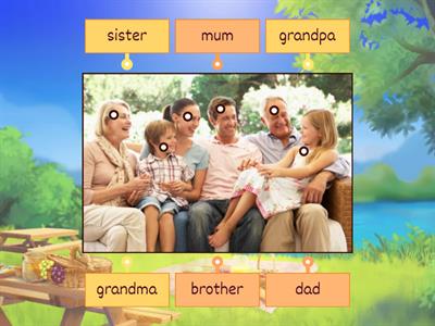  Academy Stars Starter Family 