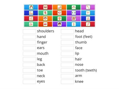 My_body_Match_up #my_teaching_stuff