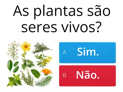 As Plantas