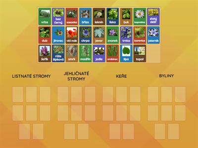 PRV 3.tř - rostliny