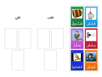 أشكال حرف الصاد 