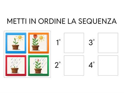 SEQUENZE LOGICHE - LA PIANTINA