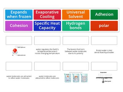 Properties of Water 