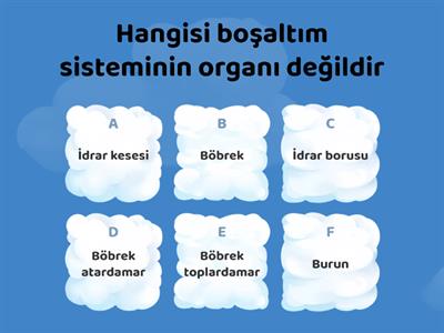 6.sınıf 2.ünite