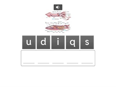  SHR, SCR , SPR, SQU Words