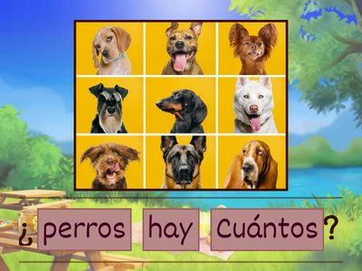 ¿Cuántos hay?