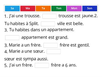 Les adjectifs possessifs (au singulier)