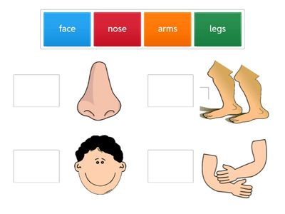 NỐI ĐÚNG TỪ VỚI HÌNH 