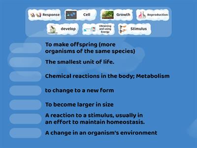 Characteristics of Life - Level 1 