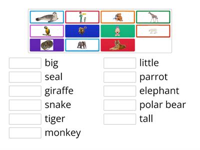 FF1 U11 - ZOO (vocabulary)