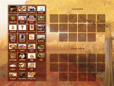 Form 8 Unit 3 Countable and Uncountable nouns