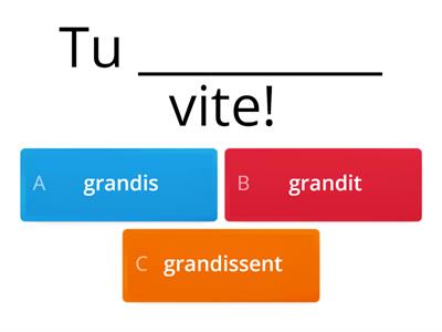 Les Verbes du 2ème groupe au présent 