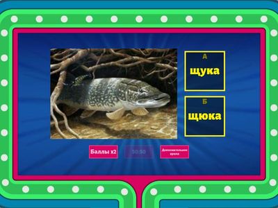 Чу, щу, ча, ща / жи, ши, же, ше