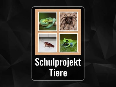 Wähle zwei Dinge, die du nicht willst oder nicht magst, und sag einen Satz mit „weder … noch …“.