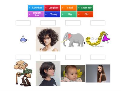 What does your father look like?-Ms.Thuong